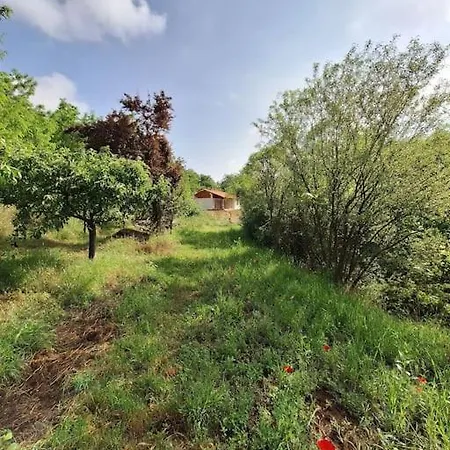 Mountain Magic House - Matka Villa