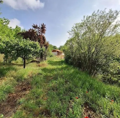 Mountain Magic House - Matka Villa